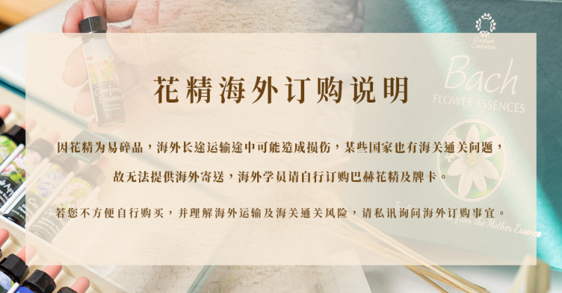 巴赫花精10.png