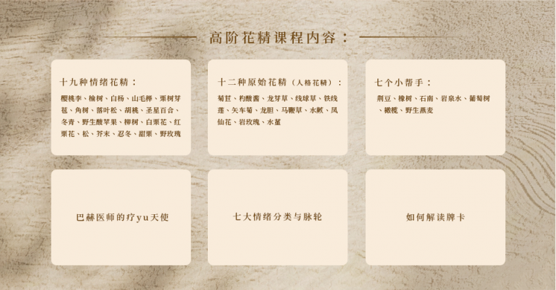 巴赫花精14.png