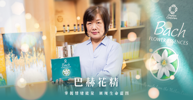 巴赫花精5.png