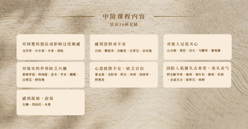 巴赫花精13.png