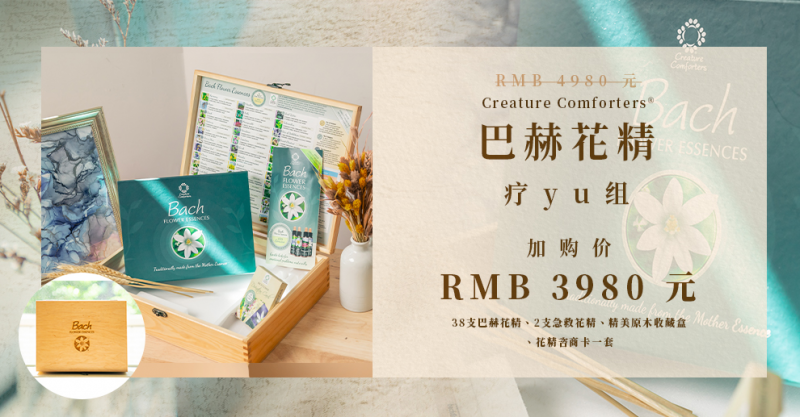 巴赫花精6.png