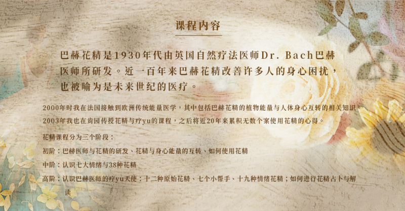 巴赫花精3.png