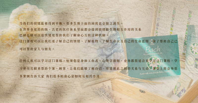 巴赫花精4.png