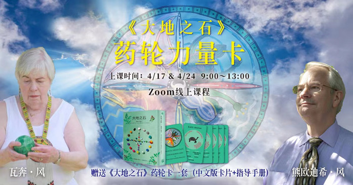 《大地之石》药轮力量卡