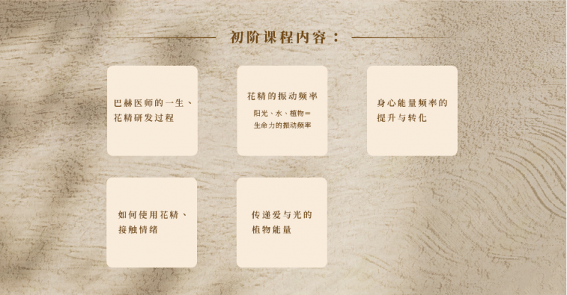巴赫花精12.png