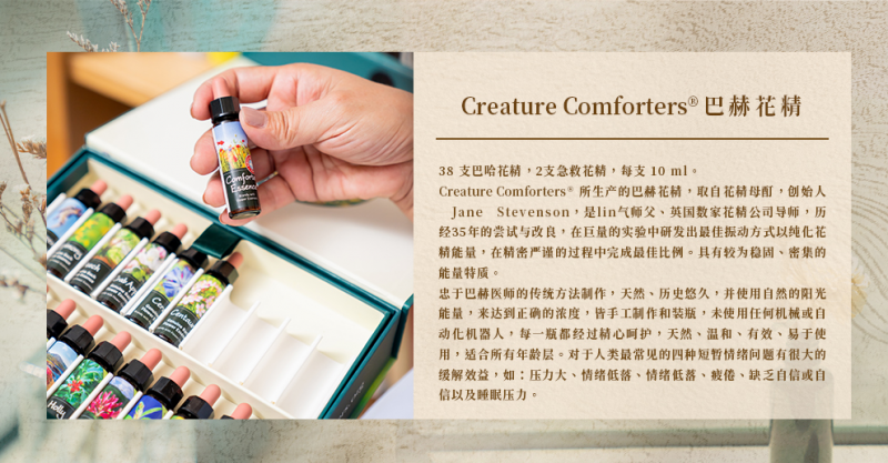 巴赫花精7.png