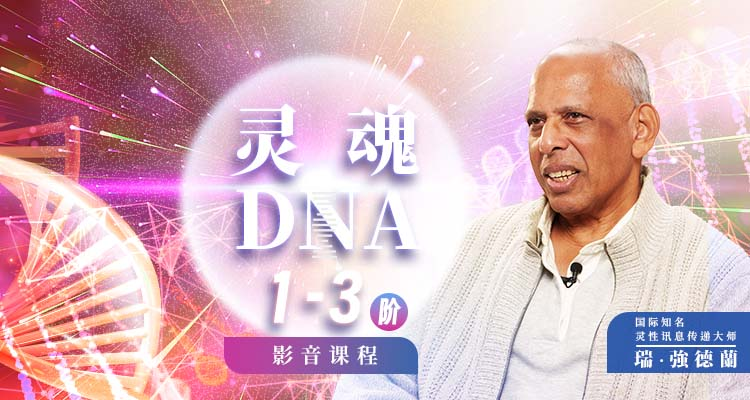 灵魂DNA 1~3阶