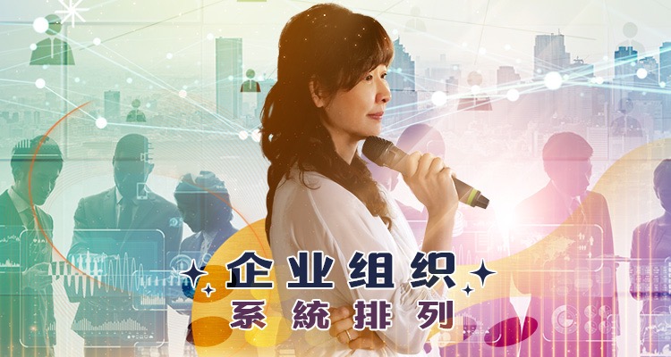 《企业组织系统排列》影音课程